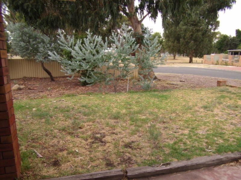 6 Haffner Court, Maddington WA 6109
