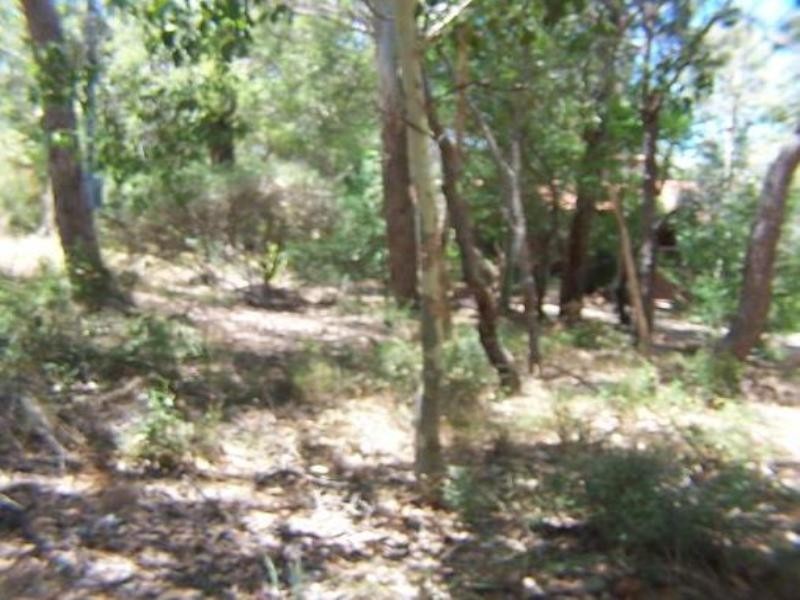 4 Graham Road, Gooseberry Hill WA 6076