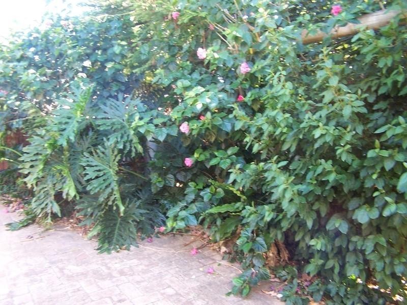 12 Winsor Road, Kalamunda WA 6076