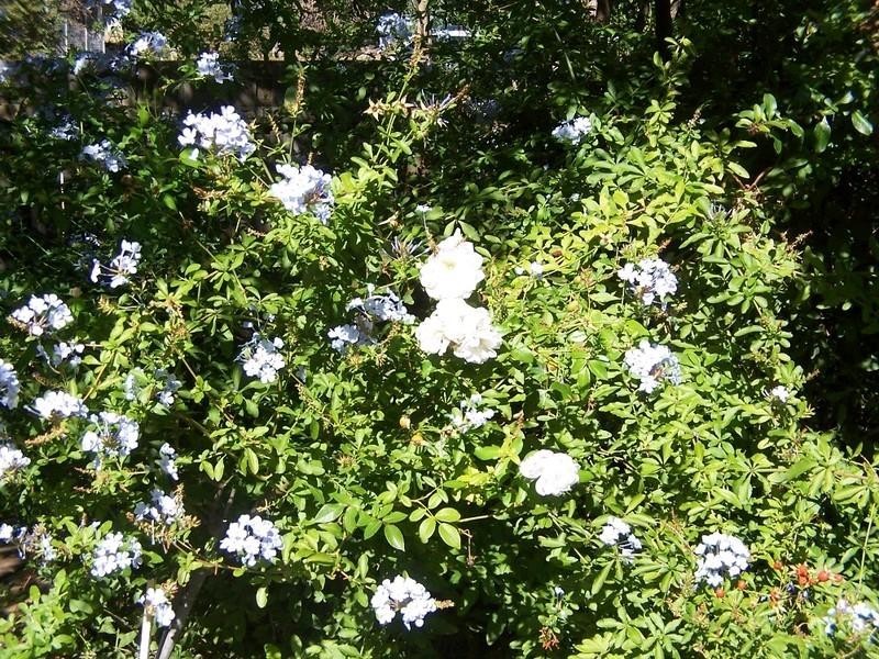 12 Winsor Road, Kalamunda WA 6076