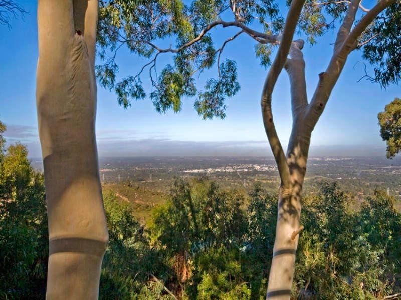 13 Graelou Road, Lesmurdie WA 6076