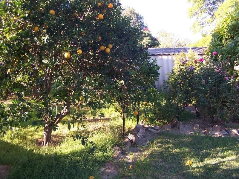 14 Connaught Street, Forrestfield WA 6058