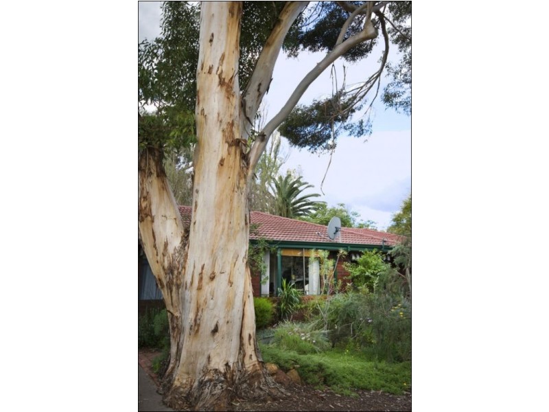 1 Booligal Street, Lesmurdie WA 6076