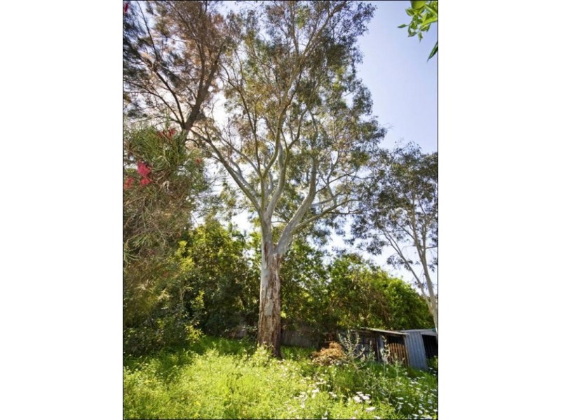 64 Cotherstone Road, Kalamunda WA 6076