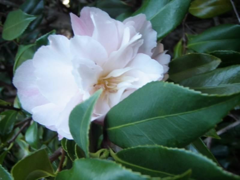 14 Broula Road, Kalamunda WA 6076