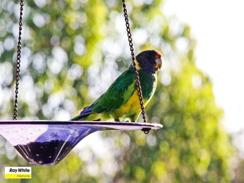 36 Gooseberry Hill Road, Gooseberry Hill WA 6076