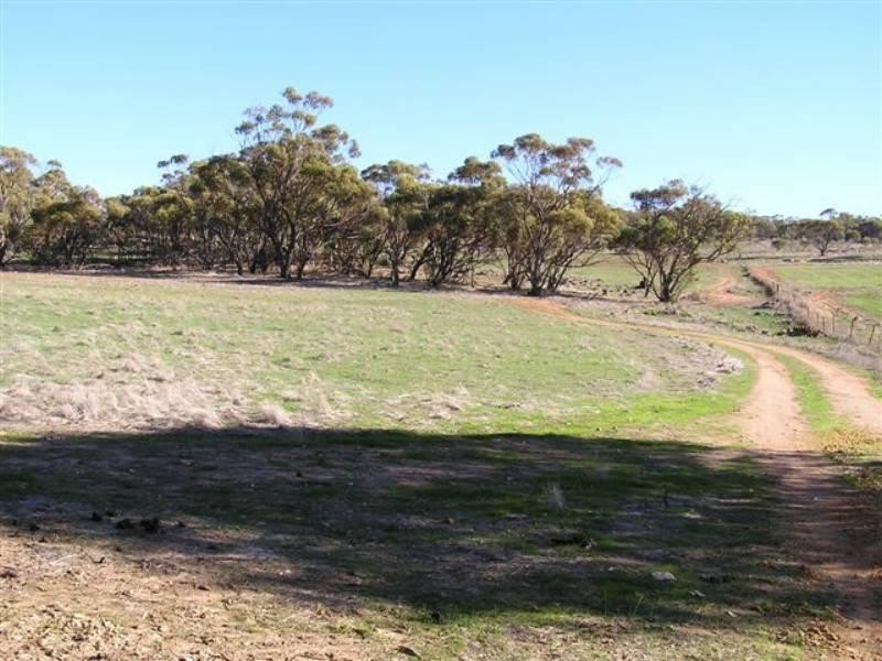 Toodyay WA 6566
