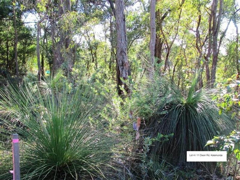 Lot 3 and 4/11 Dixon Road, Kalamunda WA 6076