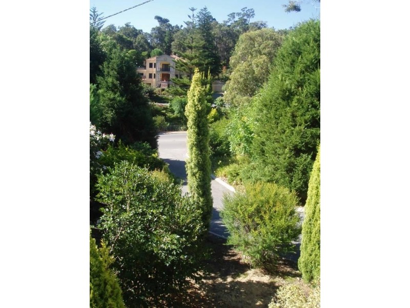 55 Kalamunda Road, Kalamunda WA 6076