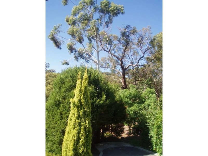 55 Kalamunda Road, Kalamunda WA 6076