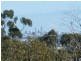16 Linthorn Crescent, Greenmount WA 6056