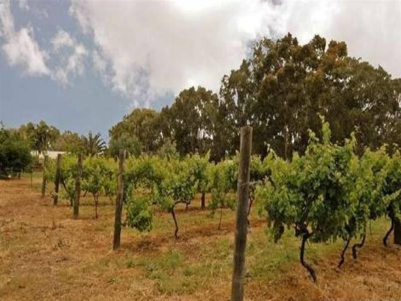 121 Bushmead Road, Hazelmere WA 6055