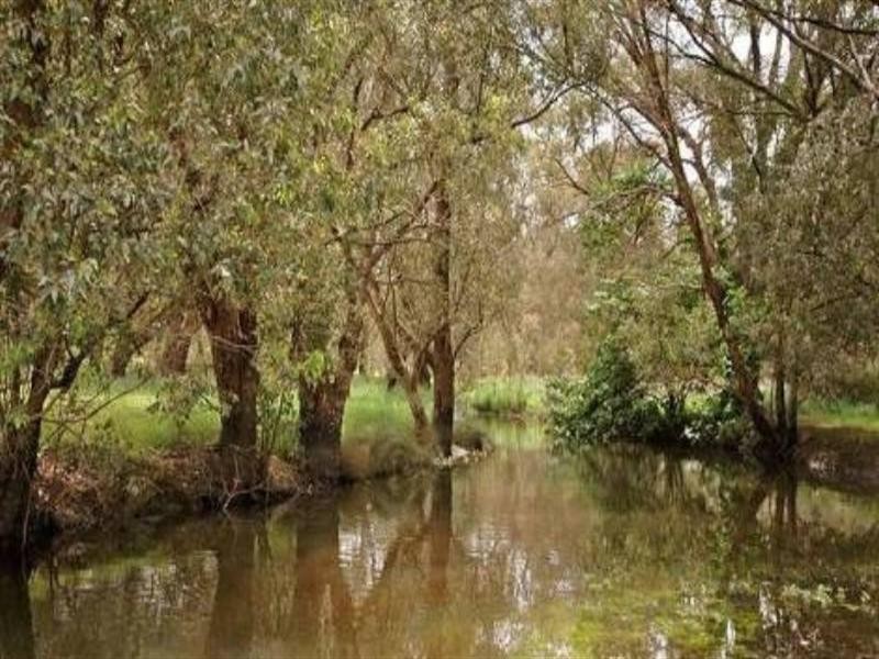 121 Bushmead Road, Hazelmere WA 6055