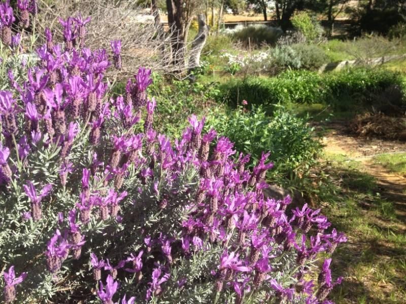 30 Watsonia Road, Gooseberry Hill WA 6076