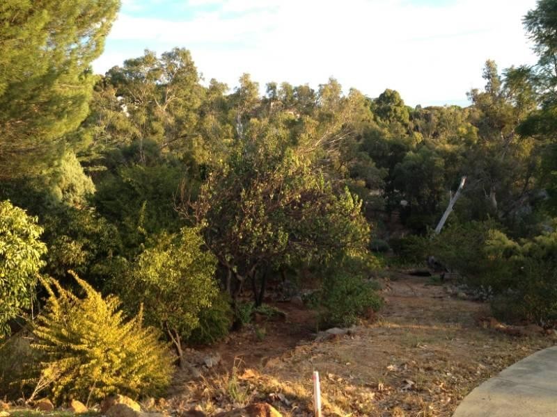 30 Watsonia Road, Gooseberry Hill WA 6076