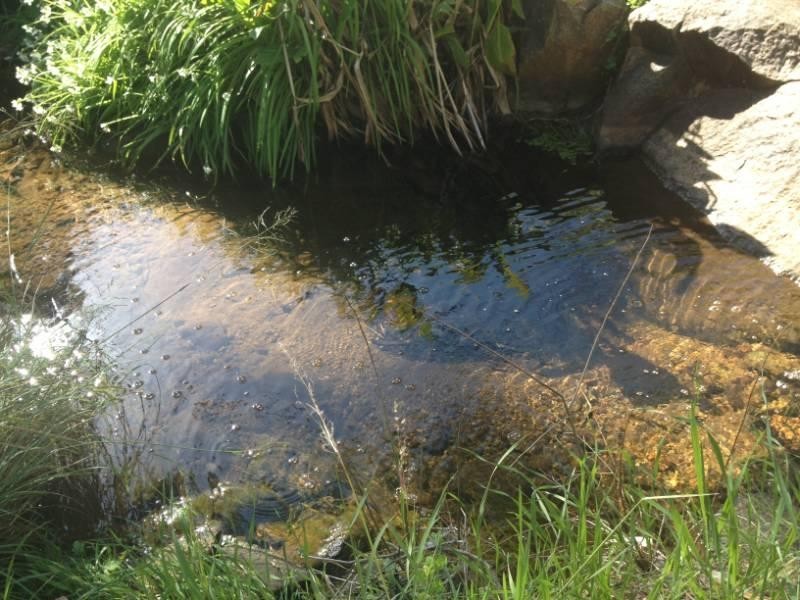 30 Watsonia Road, Gooseberry Hill WA 6076