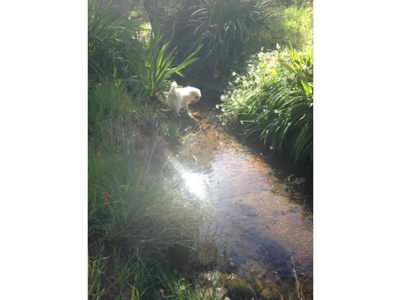 30 Watsonia Road, Gooseberry Hill WA 6076