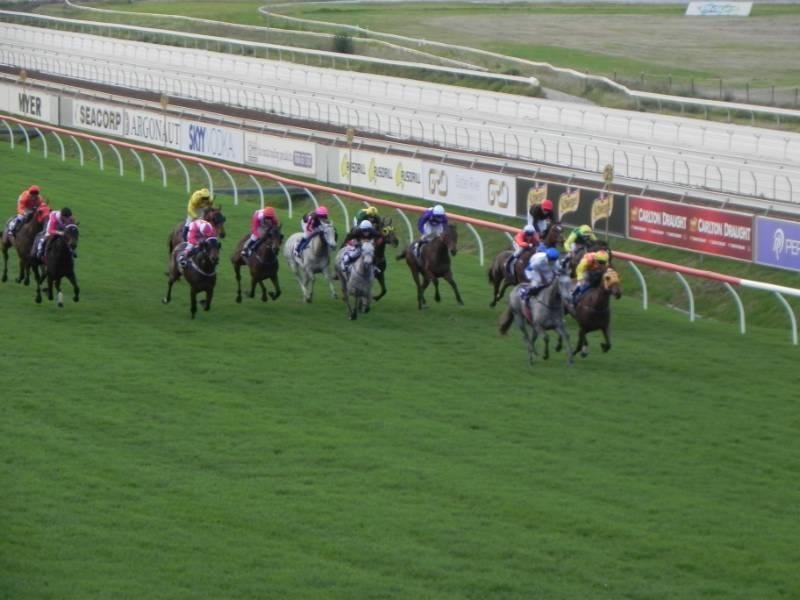 1B William Street, Wattle Grove WA 6107