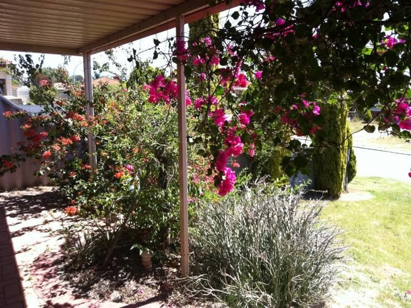 17 Mulline Court, Maddington WA 6109