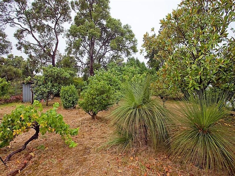 3 Carpene Place, Kalamunda WA 6076