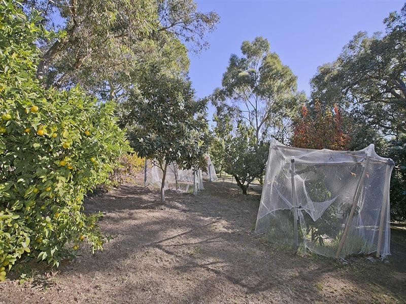 85 Orange Valley Road, Kalamunda WA 6076