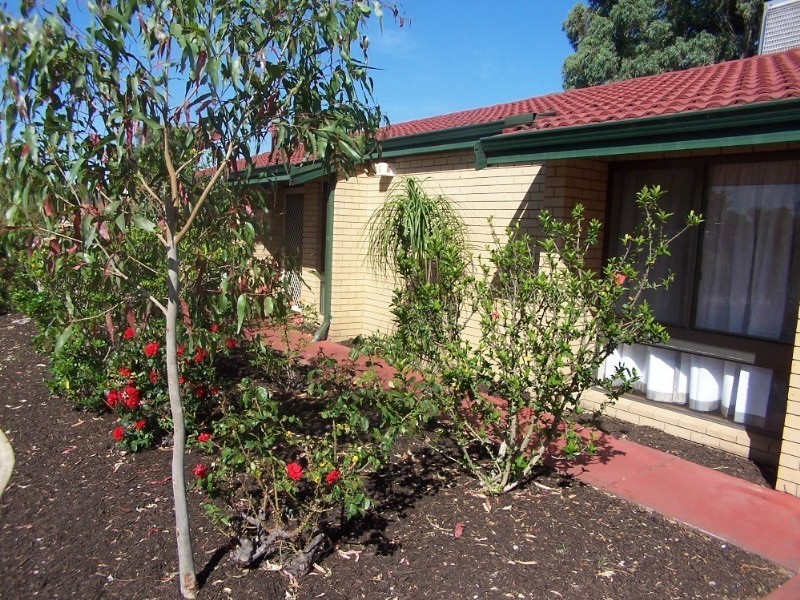 8 Berberis Way, Forrestfield WA 6058