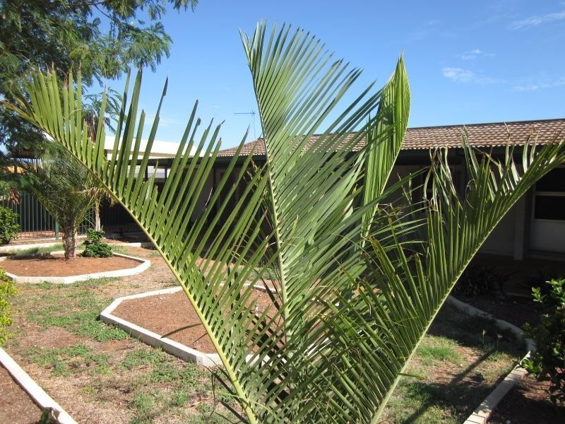 697 Dolphin Way, Bulgarra WA 6714