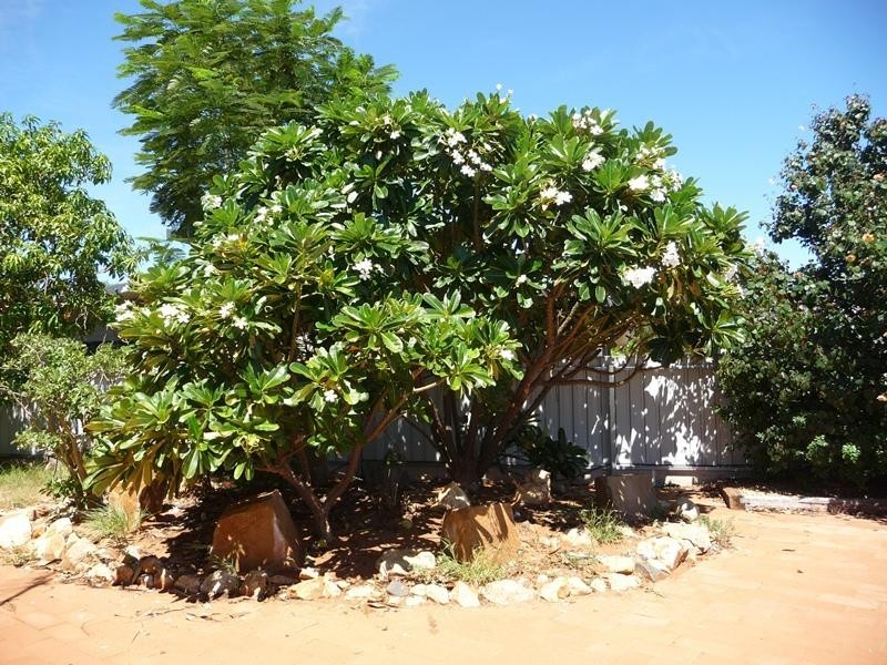 2 Mayo Court, Nickol WA 6714