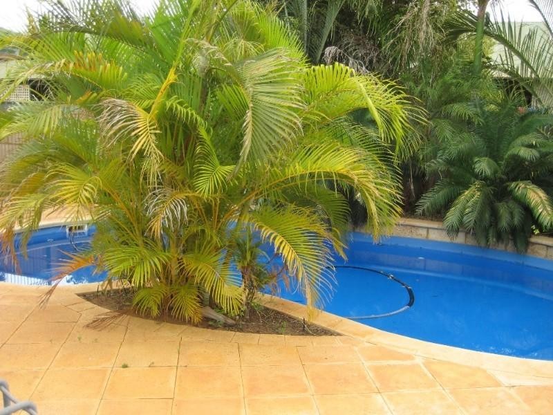 41F Delambre Drive, Karratha WA 6714