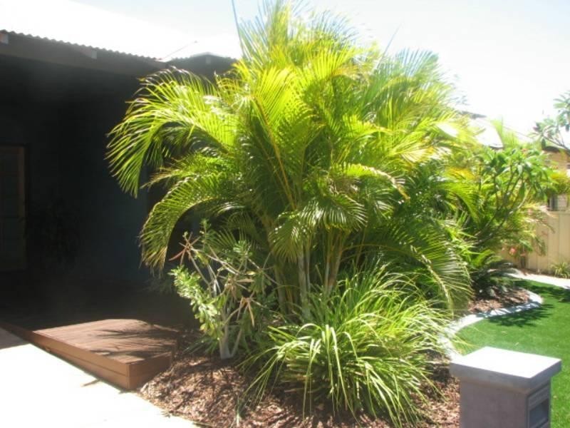 13 Smokebush Street, Karratha WA 6714