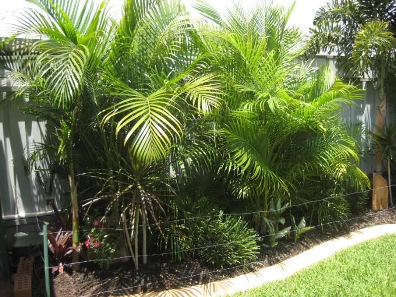 8B Lathwell Close, Karratha WA 6714