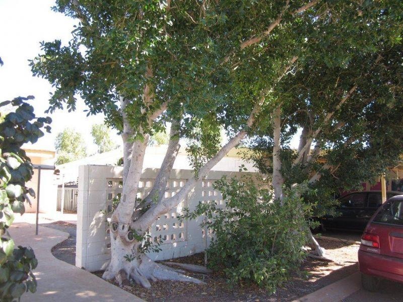 U18/1925 Ridley Street, Bulgarra WA 6714