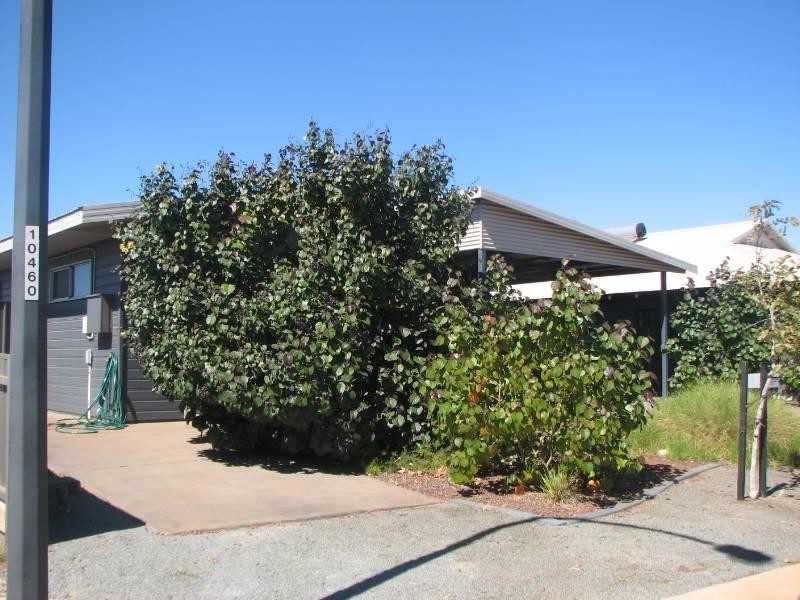 107 Marniyarra Loop, Baynton WA 6714