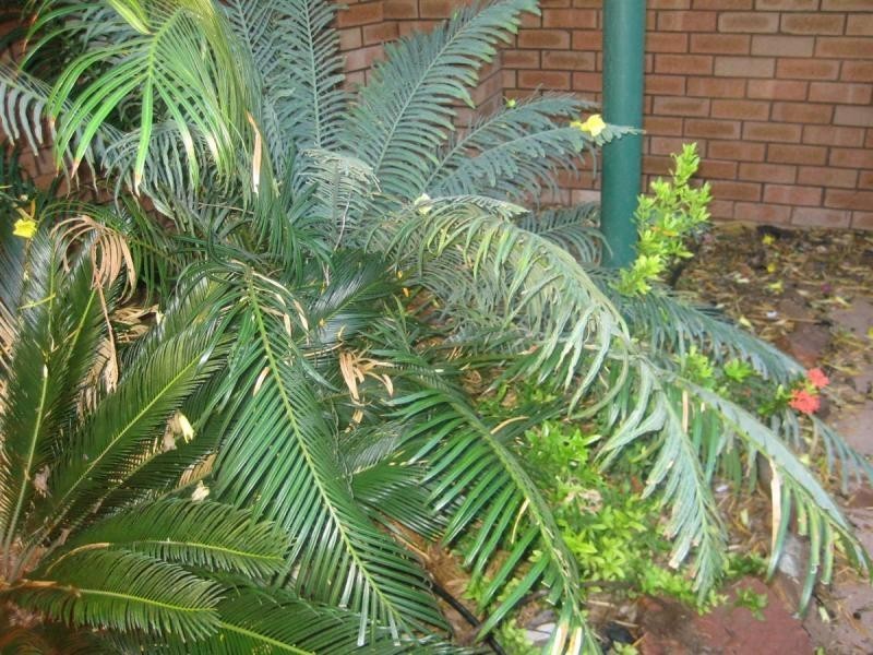 9/2 Sun Court, Millars Well WA 6714