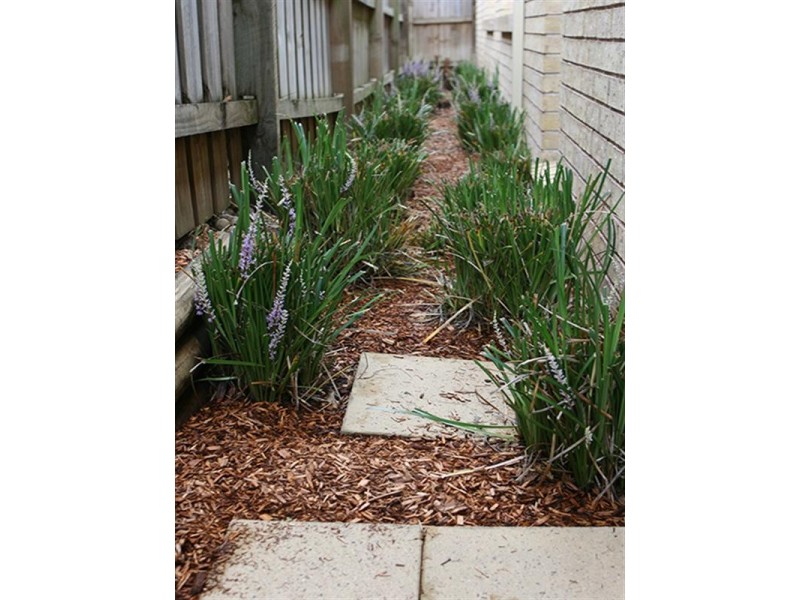 4 Melinda Close, Beaumont Hills NSW 2155