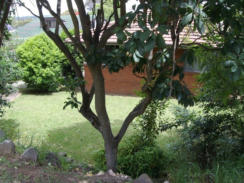 7 Telfer Road, Castle Hill NSW 2154