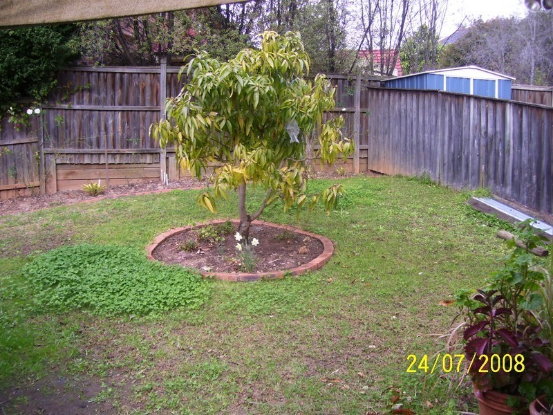 Castle Hill NSW 2154