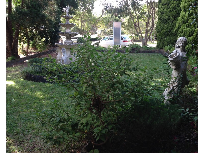 29 Bennett Place, Castle Hill NSW 2154