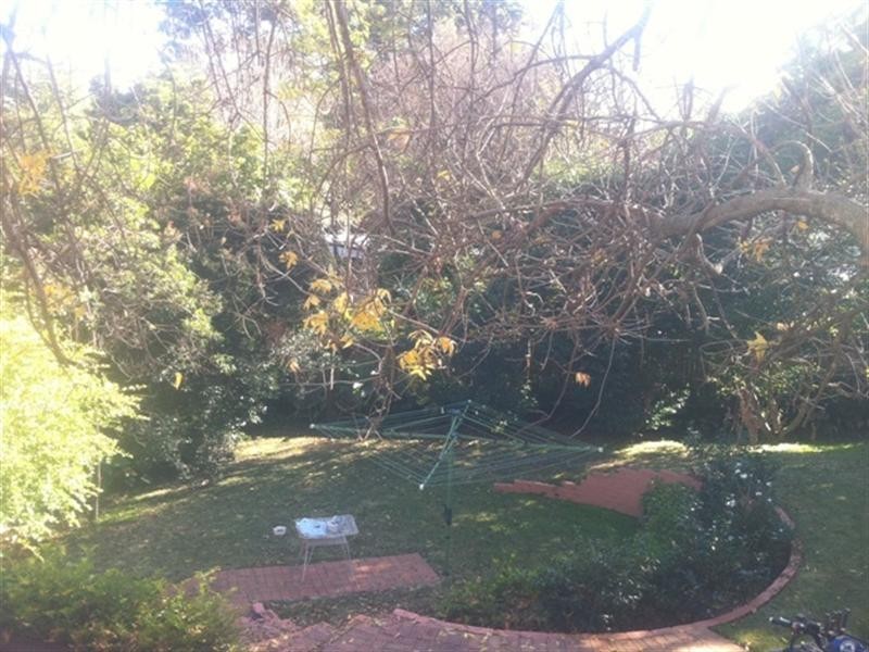 33 Telfer Road, Castle Hill NSW 2154