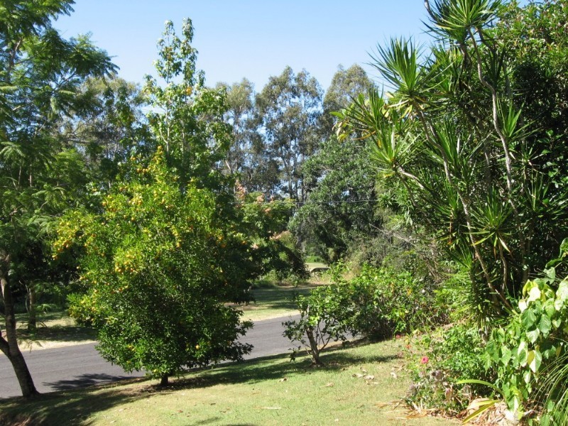 95 Akuna Street, Kenmore QLD 4069