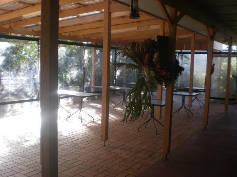 Springbrook QLD 4213