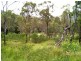 Balere Station, 2 Cedar Creek Road, Cedar Creek QLD 4207