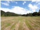Balere Station, 2 Cedar Creek Road, Cedar Creek QLD 4207