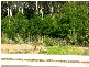 105 Courtenay Crescent, Batemans Bay NSW 2536