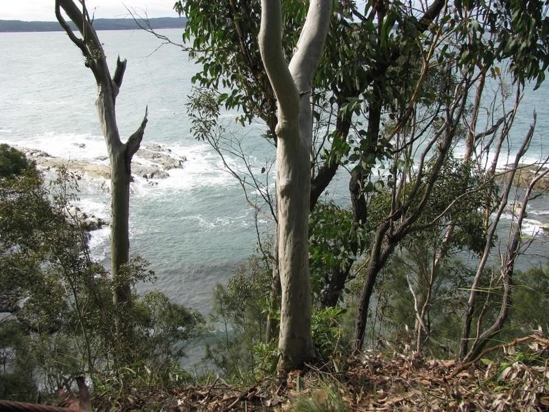 17 Burrawang Crescent, Sunshine Bay NSW 2536