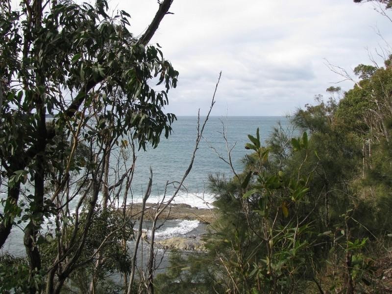 17 Burrawang Crescent, Sunshine Bay NSW 2536