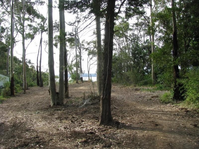 17 Burrawang Crescent, Sunshine Bay NSW 2536