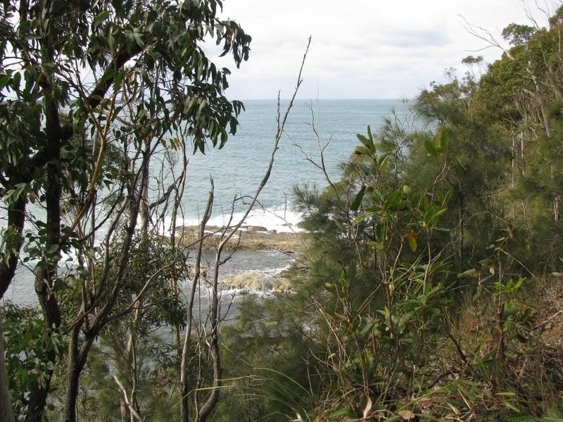 17 Burrawang Crescent, Sunshine Bay NSW 2536