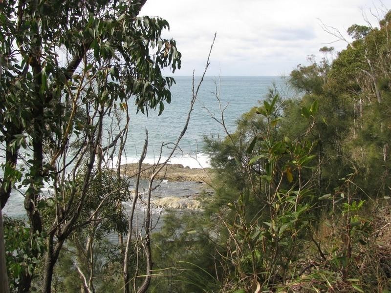 17 Burrawang Crescent, Sunshine Bay NSW 2536