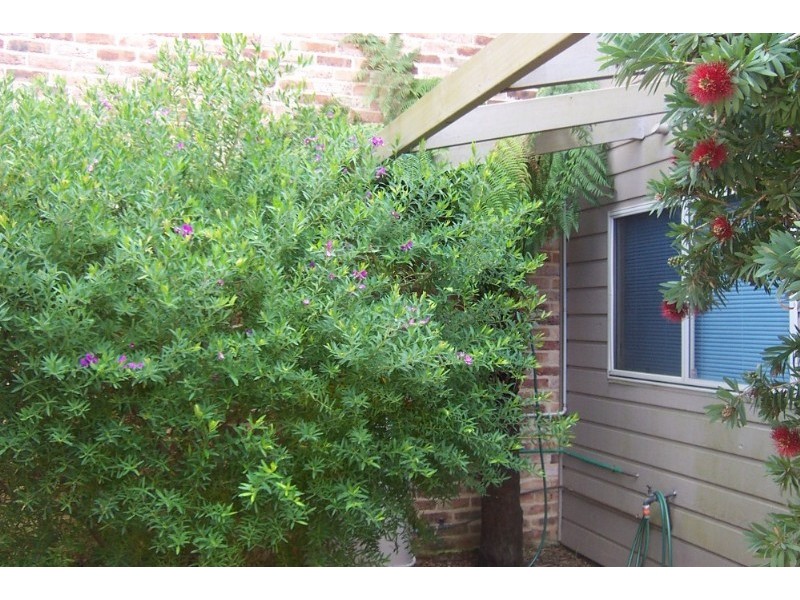 708-710 Beach Road, Surf Beach NSW 2536